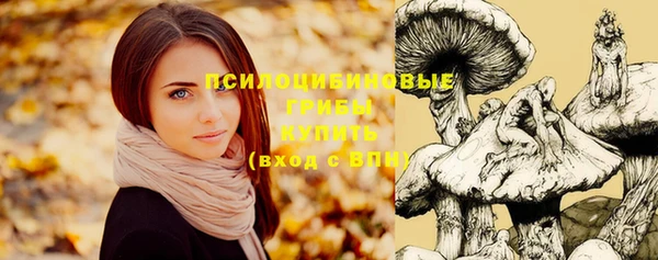 гидропоника Волоколамск